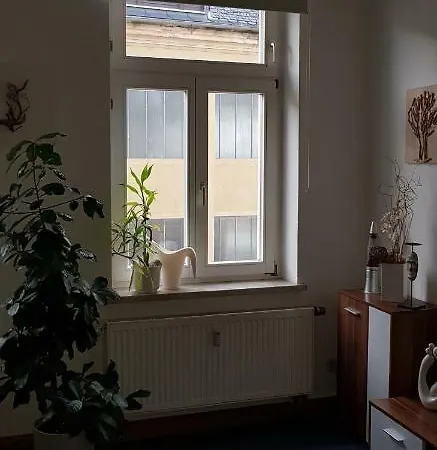 FeWo im Herzen Reichenbachs Reichenbach im Vogtland Exterior foto